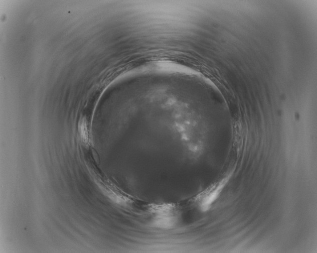 X0000062140143200512091224