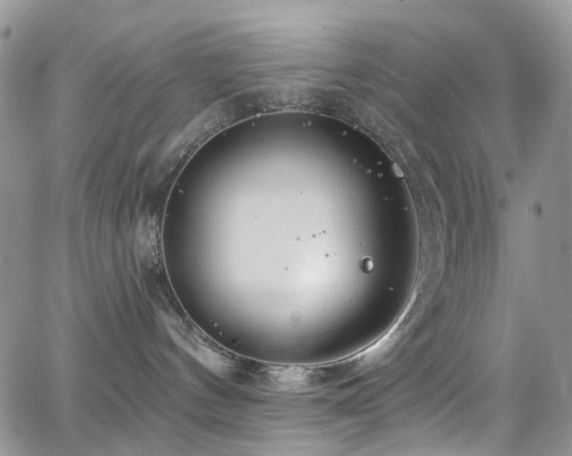 X0000062140144200512091224