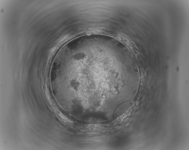 X0000062140145200512091224