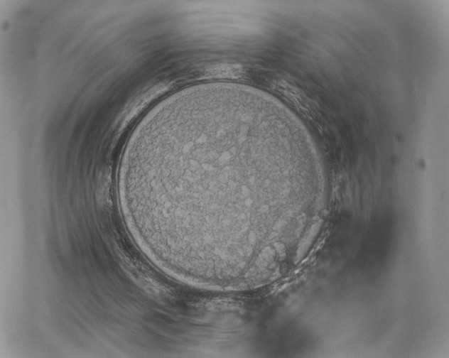 X0000062140146200512091224