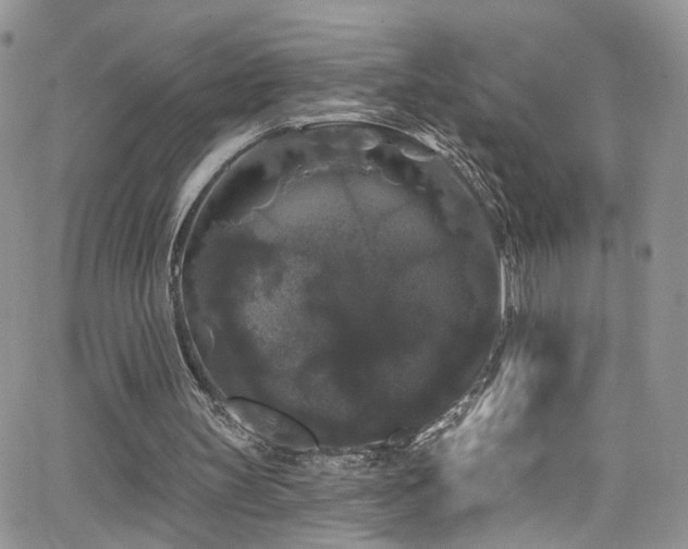 X0000062140147200512091224