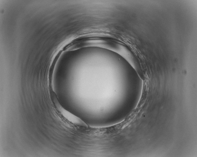 X0000062140148200512091224