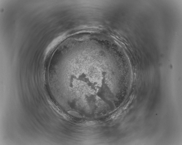 X0000062140149200512091224