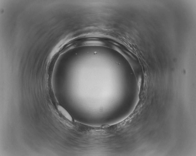 X0000062140150200512091224