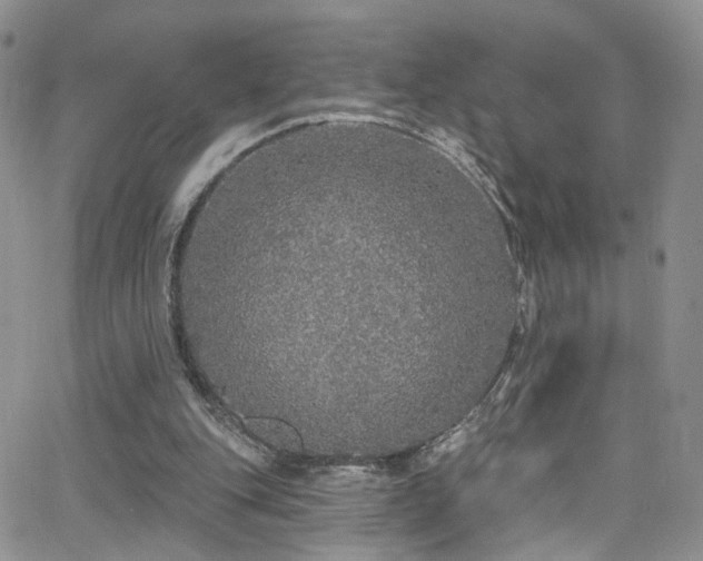 X0000062140151200512091224