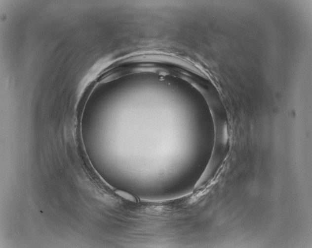 X0000062140152200512091224