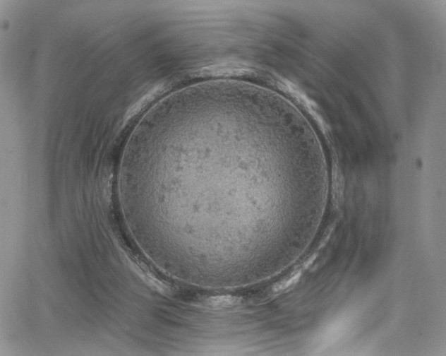 X0000062140153200512091224