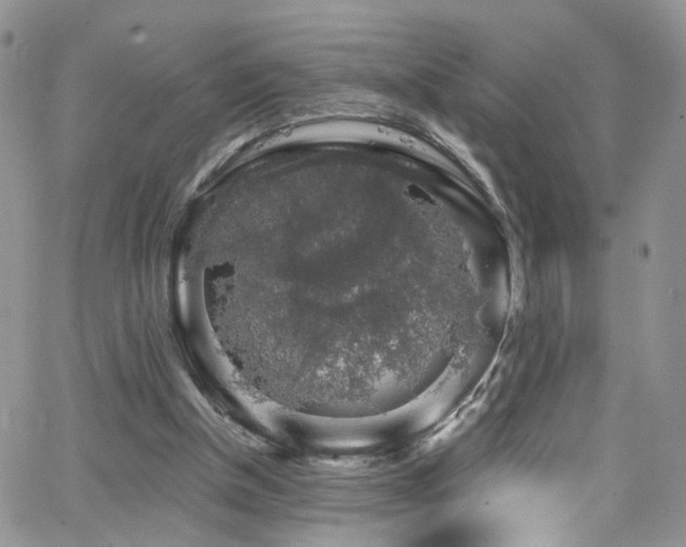 X0000062140154200512091224