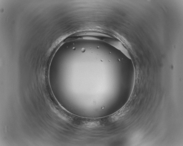 X0000062140155200512091224