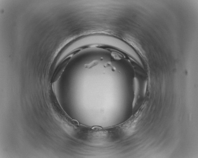 X0000062140156200512091224