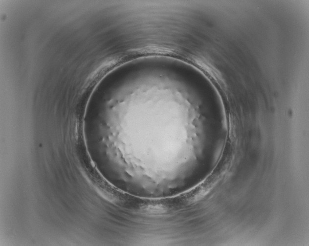 X0000062140157200512091224