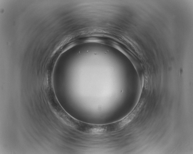 X0000062140158200512091224