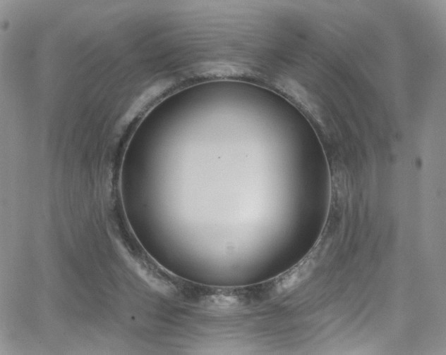 X0000062140159200512091224