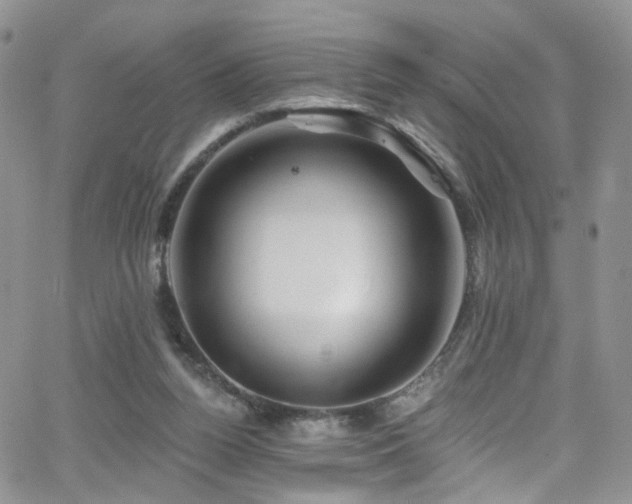 X0000062140160200512091224