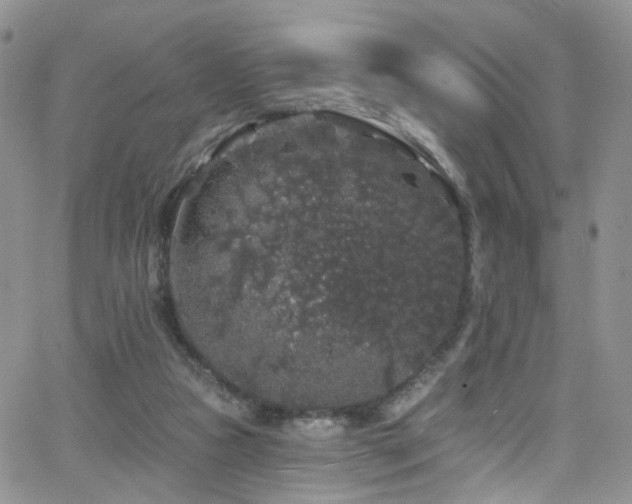 X0000062140161200512091224