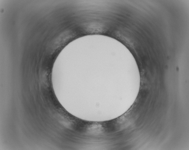 X0000062140162200512091224