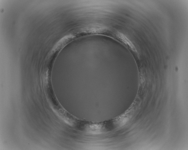 X0000062140163200512091224