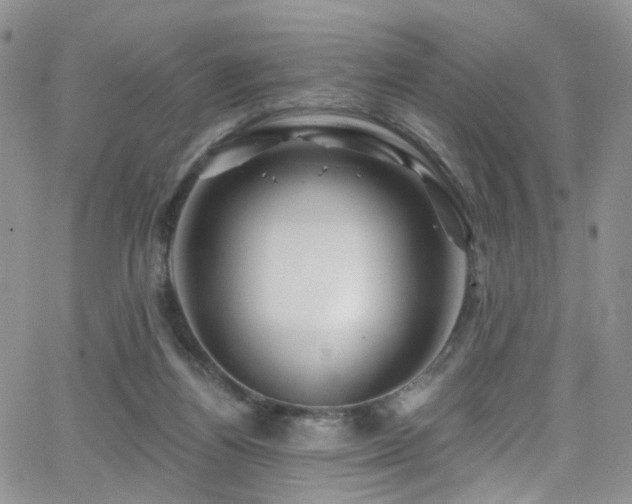 X0000062140164200512091224