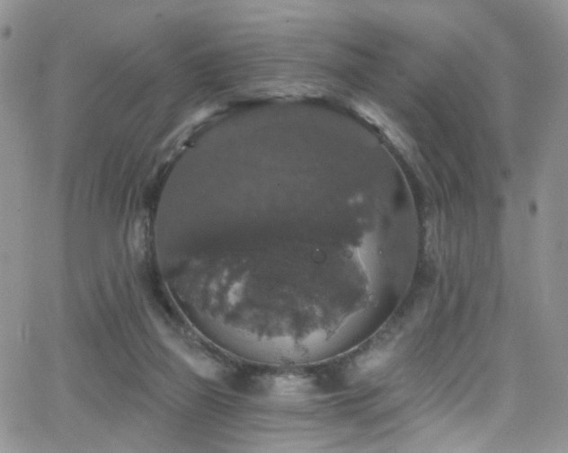 X0000062140165200512091224