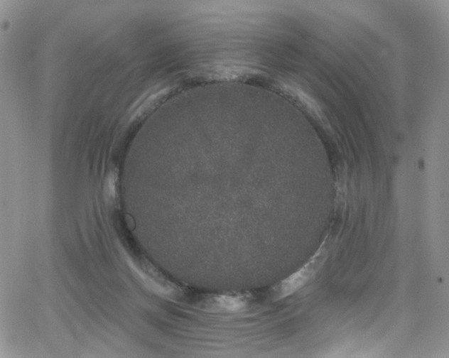 X0000062140166200512091224