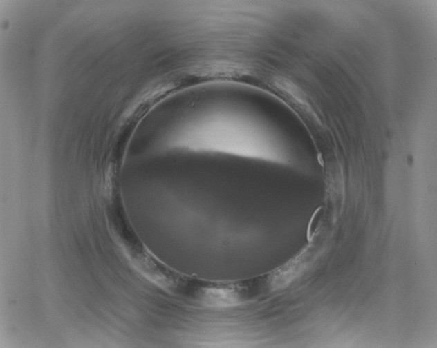 X0000062140167200512091224