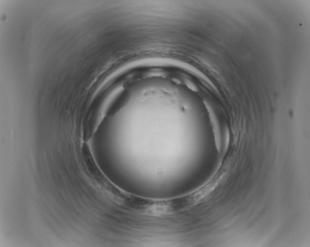 X0000062140168200512091224