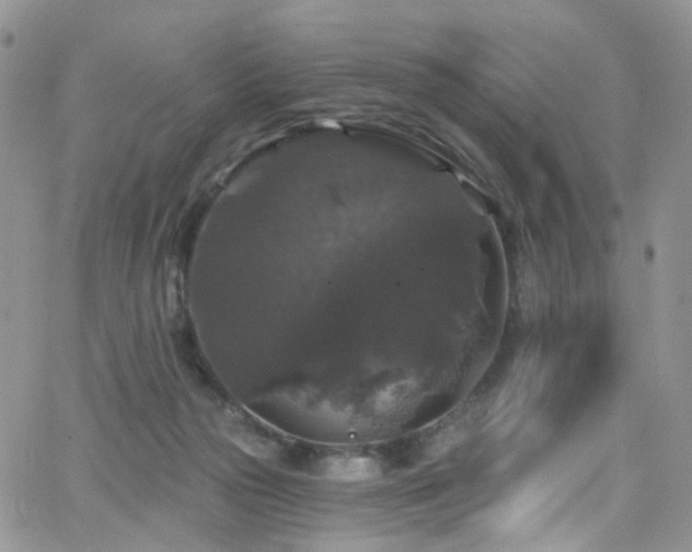 X0000062140169200512091224