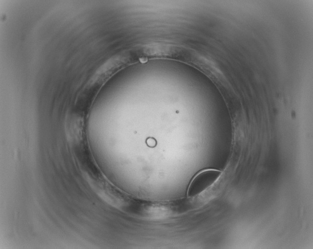 X0000062140171200512091224