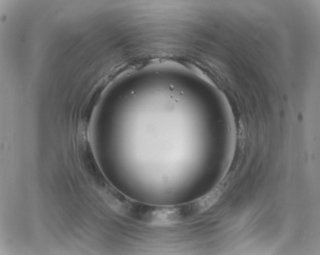 X0000062140172200512091224