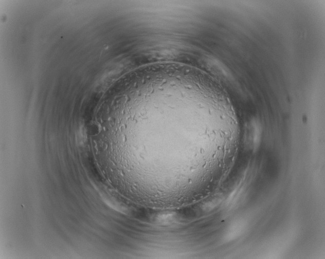 X0000062140173200512091224