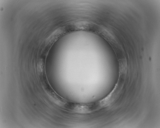 X0000062140174200512091224