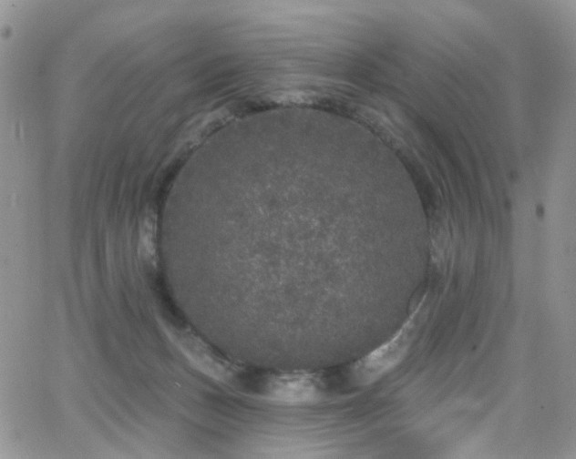 X0000062140175200512091224