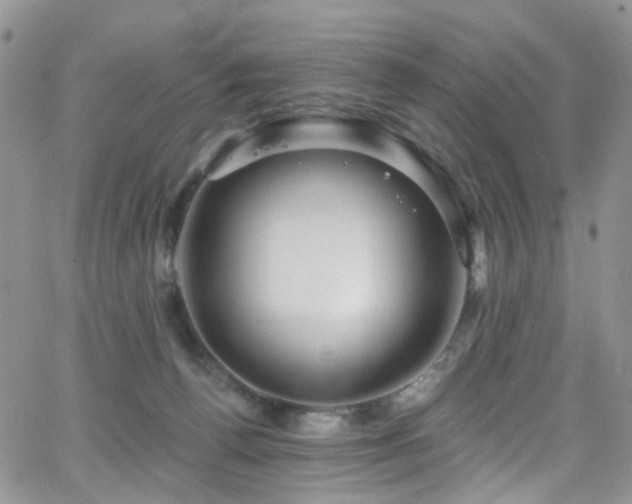 X0000062140176200512091224