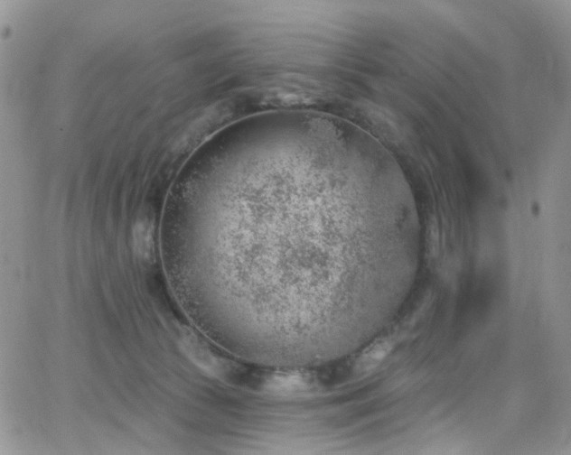 X0000062140177200512091224