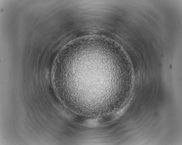 X0000062140178200512091224