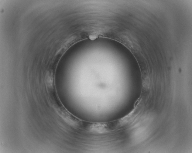 X0000062140179200512091224