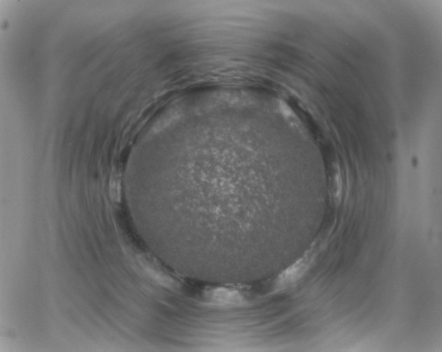 X0000062140180200512091224