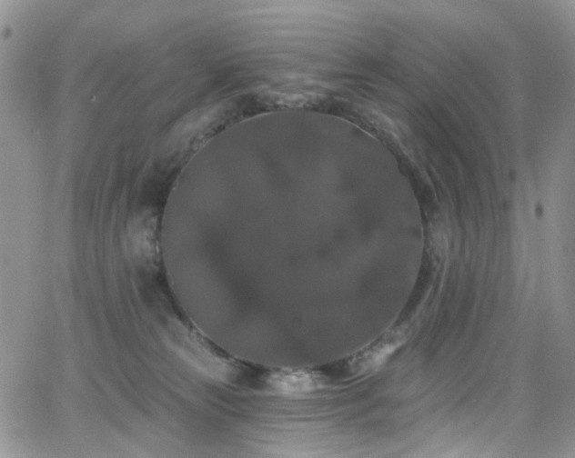 X0000062140181200512091224