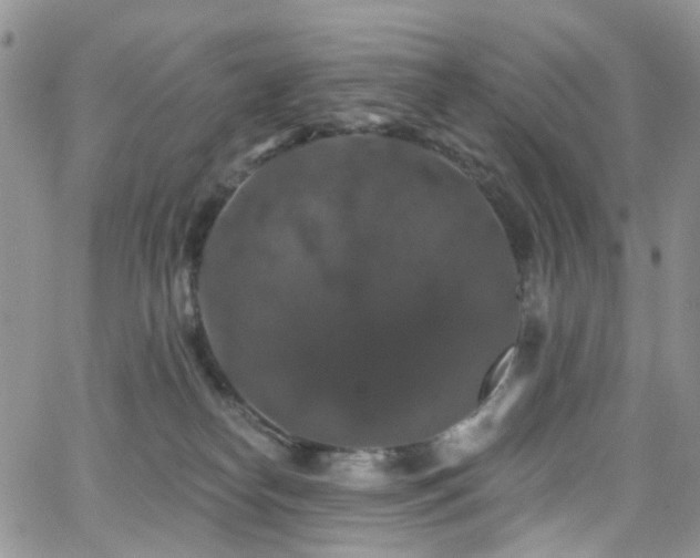 X0000062140182200512091224