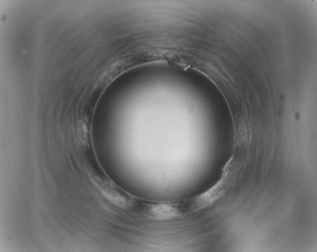 X0000062140183200512091224