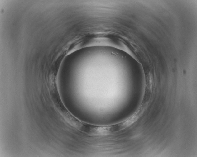 X0000062140184200512091224