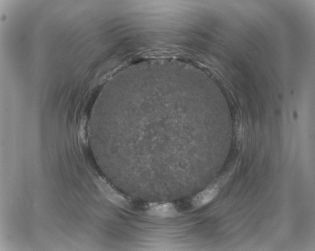 X0000062140185200512091224