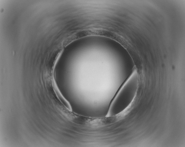 X0000062140186200512091224