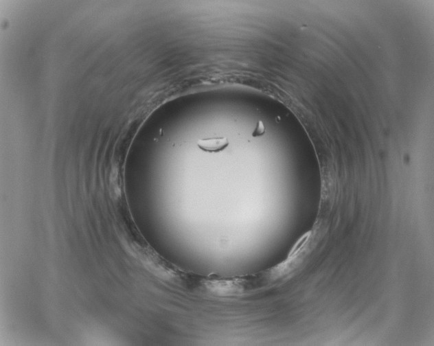 X0000062140187200512091224