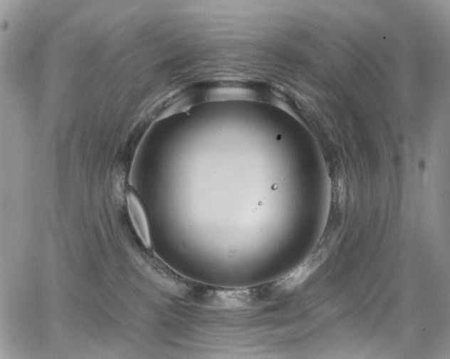 X0000062140188200512091224