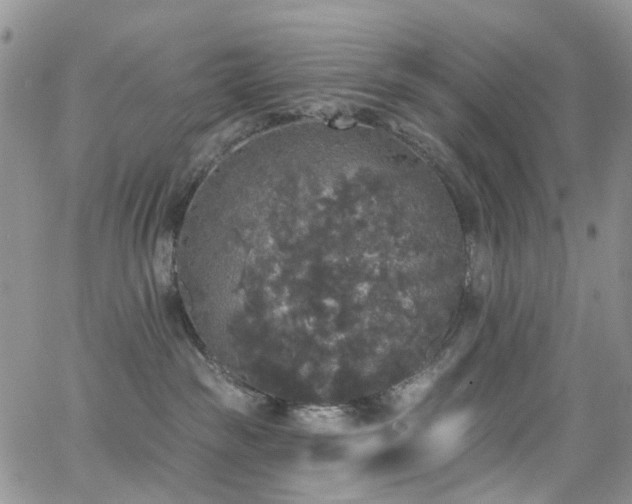 X0000062140189200512091224