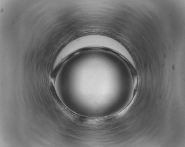 X0000062140190200512091224