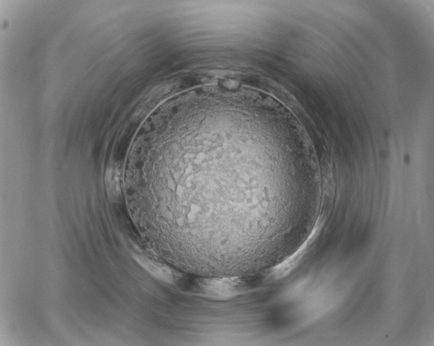 X0000062140191200512091224