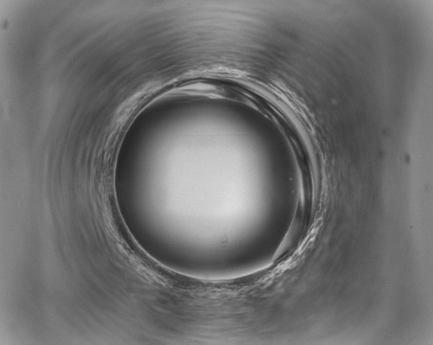 X0000062140193200512091224