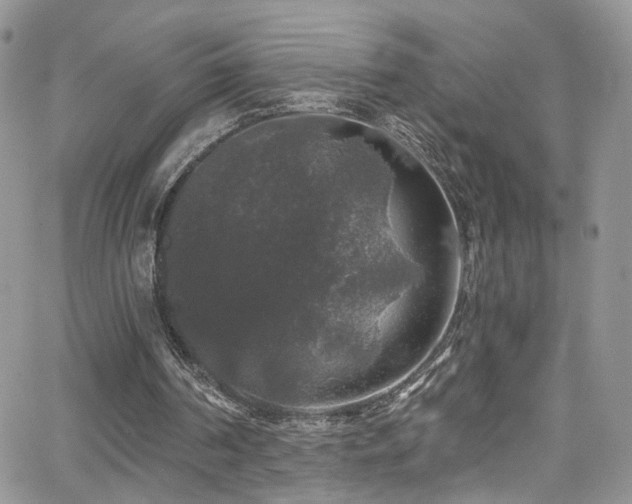 X0000062140194200512091224